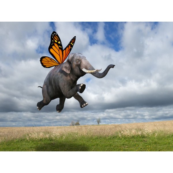 Elefante 5d Diy Kit Diamond Painting Pittura Di Diamante NO2247