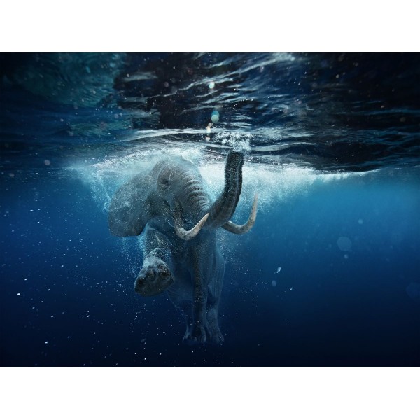 Elefante 5d Diy Kit Diamond Painting Pittura Di Diamante NO2242