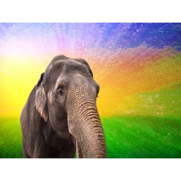 Elefante 5d Diy Kit Diamond Painting Pittura Di Diamante NO2229