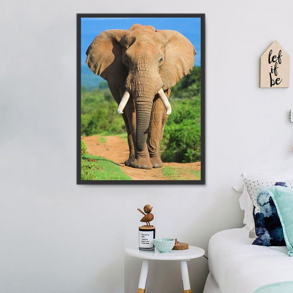 Elefante 5d Diy Kit Diamond Painting Pittura Di Diamante NO2228
