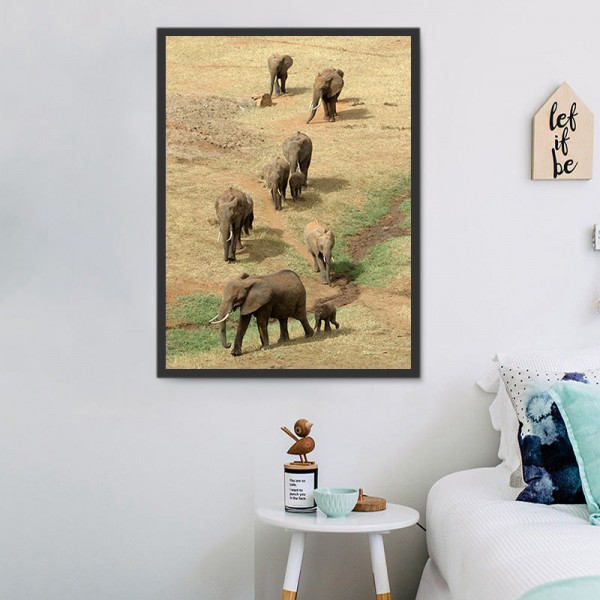 Elefante 5d Diy Kit Diamond Painting Pittura Di Diamante NO2227