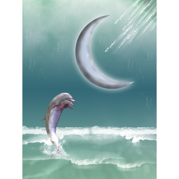 Delfino 5d Diy Kit Diamond Painting Pittura Di Diamante NO2192