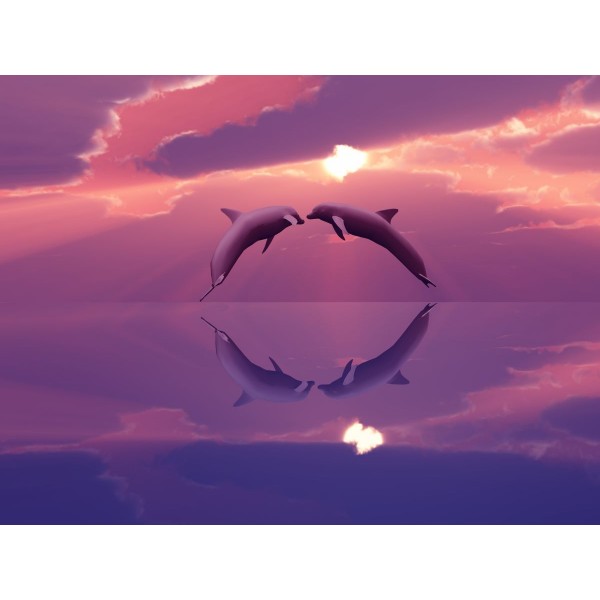 Delfino 5d Diy Kit Diamond Painting Pittura Di Diamante NO2190