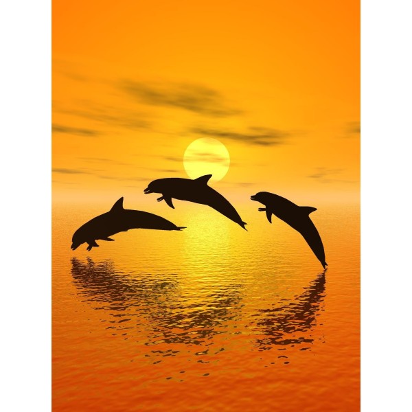Delfino 5d Diy Kit Diamond Painting Pittura Di Diamante NO2188