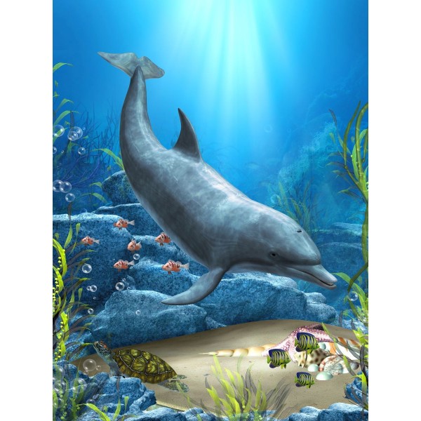 Delfino 5d Diy Kit Diamond Painting Pittura Di Diamante NO2187