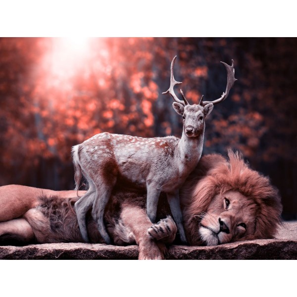 Leone 5d Diy Kit Diamond Painting Pittura Di Diamante NO2081