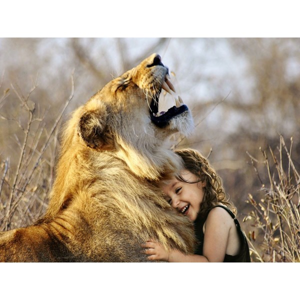 Leone 5d Diy Kit Diamond Painting Pittura Di Diamante NO2079