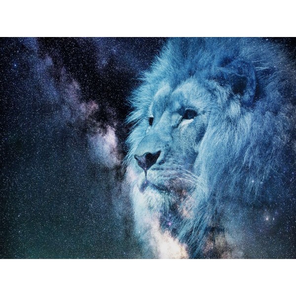 Leone 5d Diy Kit Diamond Painting Pittura Di Diamante NO2078