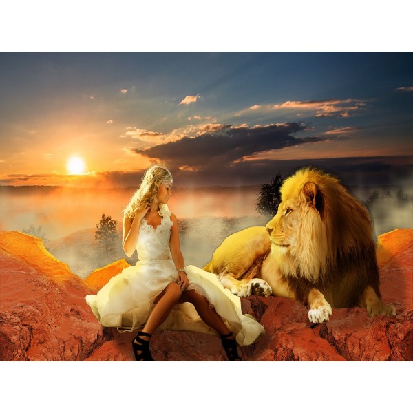 Leone 5d Diy Kit Diamond Painting Pittura Di Diamante NO2077