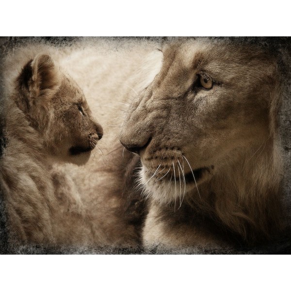 Leone 5d Diy Kit Diamond Painting Pittura Di Diamante NO2073