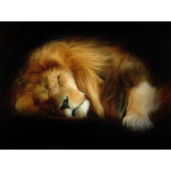 Leone 5d Diy Kit Diamond Painting Pittura Di Diamante NO2072