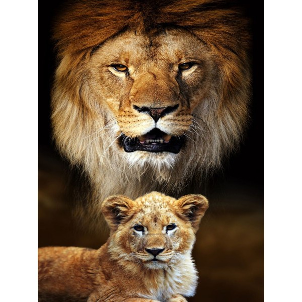 Leone 5d Diy Kit Diamond Painting Pittura Di Diamante NO2063