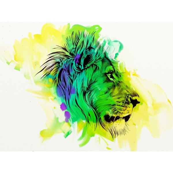 Leone 5d Diy Kit Diamond Painting Pittura Di Diamante NO2062