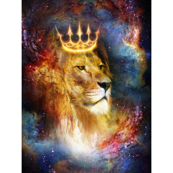 Leone 5d Diy Kit Diamond Painting Pittura Di Diamante NO2060