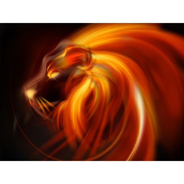 Leone 5d Diy Kit Diamond Painting Pittura Di Diamante NO2051