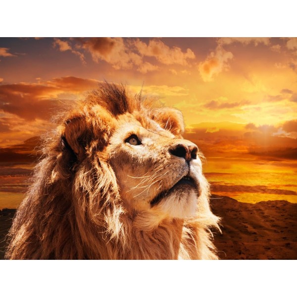 Leone 5d Diy Kit Diamond Painting Pittura Di Diamante NO2049