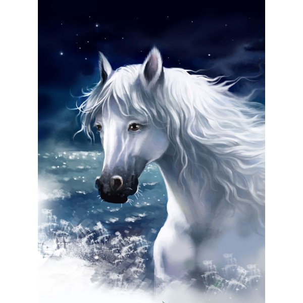 Cavallo 5d Diy Kit Diamond Painting Pittura Di Diamante NO2011