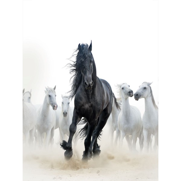 Cavallo 5d Diy Kit Diamond Painting Pittura Di Diamante NO2007