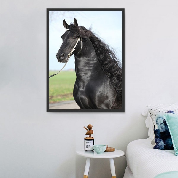 Cavallo 5d Diy Kit Diamond Painting Pittura Di Diamante NO2005