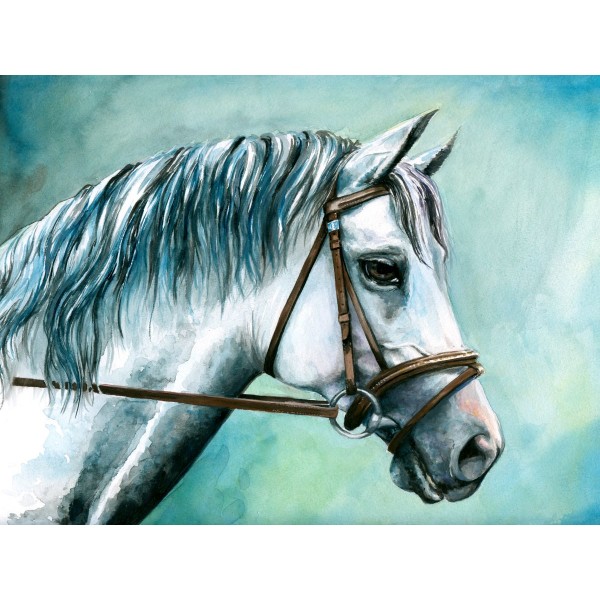 Cavallo 5d Diy Kit Diamond Painting Pittura Di Diamante NO2003