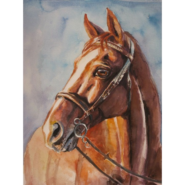 Cavallo 5d Diy Kit Diamond Painting Pittura Di Diamante NO2001