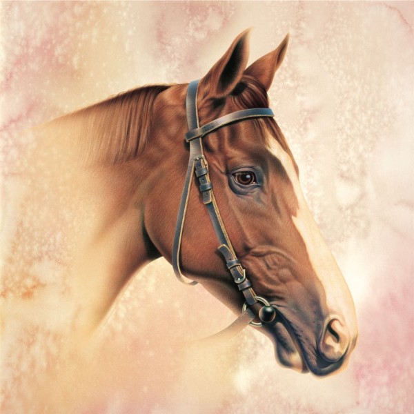 Cavallo 5d Diy Kit Diamond Painting Pittura Di Diamante NO1999