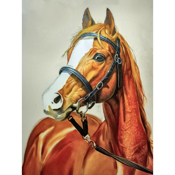 Cavallo 5d Diy Kit Diamond Painting Pittura Di Diamante NO1993