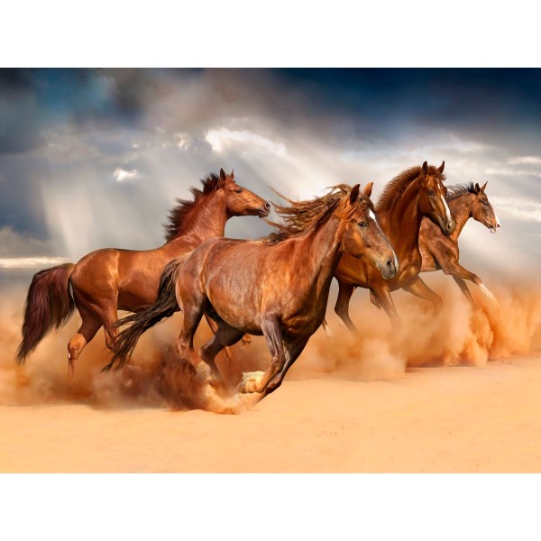 Cavallo 5d Diy Kit Diamond Painting Pittura Di Diamante NO1992