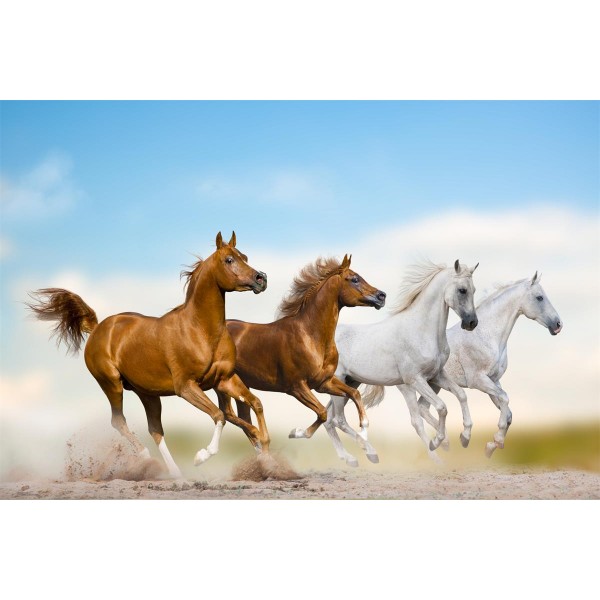 Cavallo 5d Diy Kit Diamond Painting Pittura Di Diamante NO1991