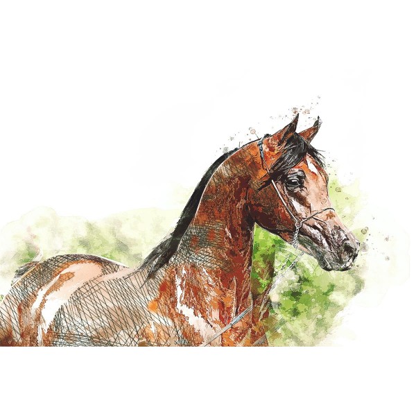 Cavallo 5d Diy Kit Diamond Painting Pittura Di Diamante NO1989