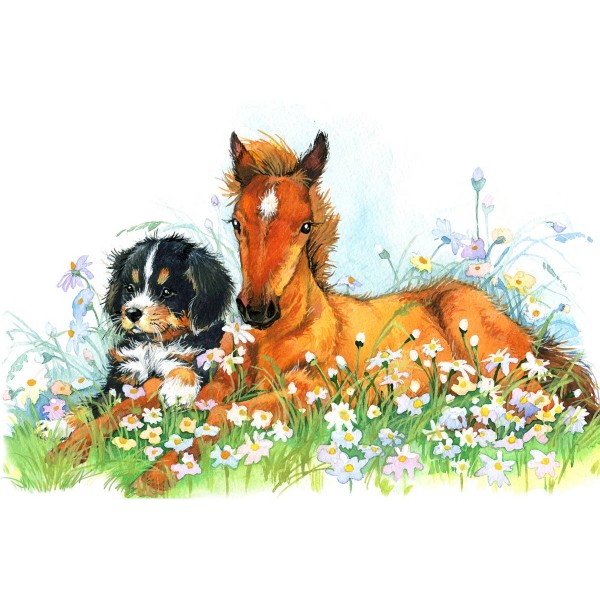 Cavallo 5d Diy Kit Diamond Painting Pittura Di Diamante NO1988