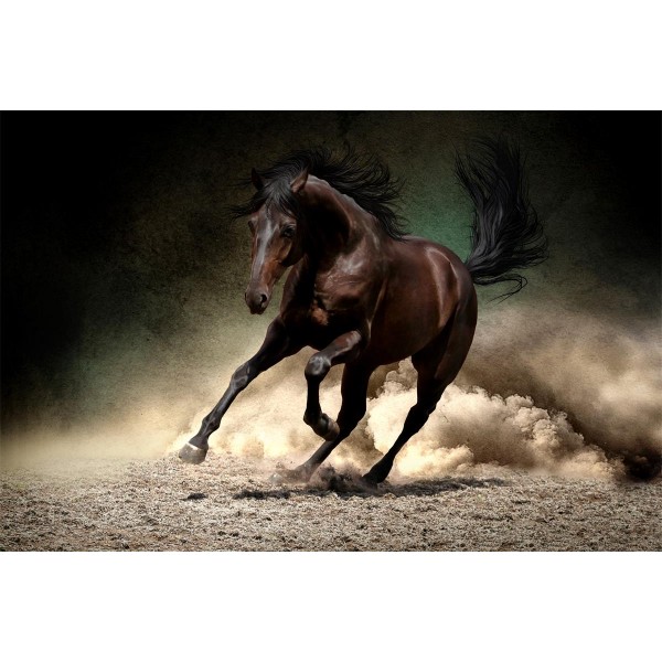 Cavallo 5d Diy Kit Diamond Painting Pittura Di Diamante NO1986