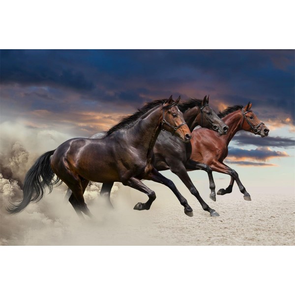 Cavallo 5d Diy Kit Diamond Painting Pittura Di Diamante NO1985