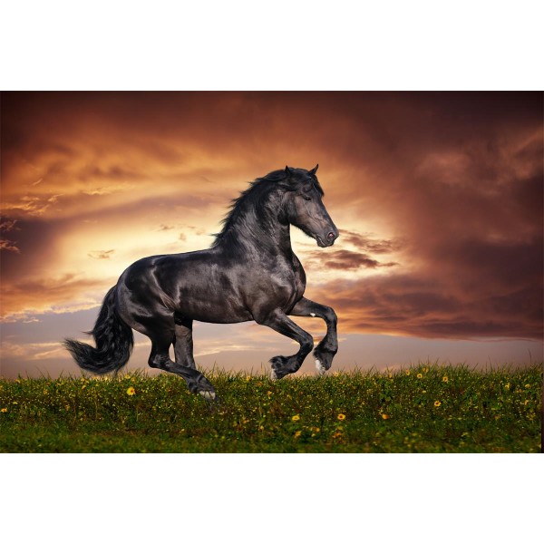 Cavallo 5d Diy Kit Diamond Painting Pittura Di Diamante NO1983