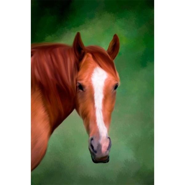 Cavallo 5d Diy Kit Diamond Painting Pittura Di Diamante NO1982