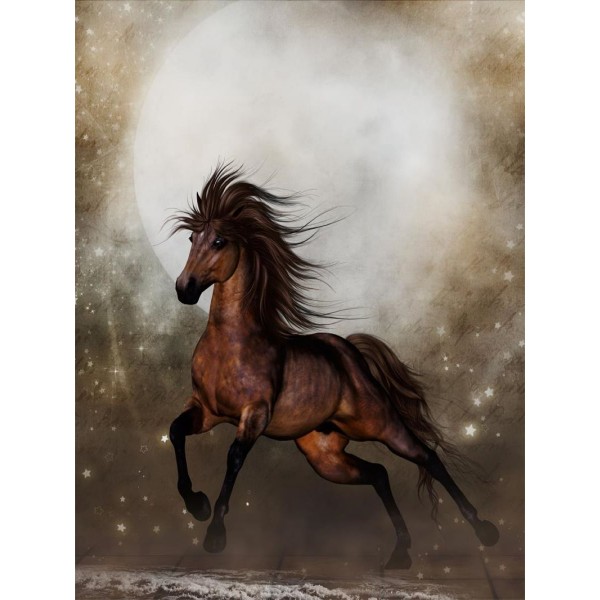 Cavallo 5d Diy Kit Diamond Painting Pittura Di Diamante NO1979