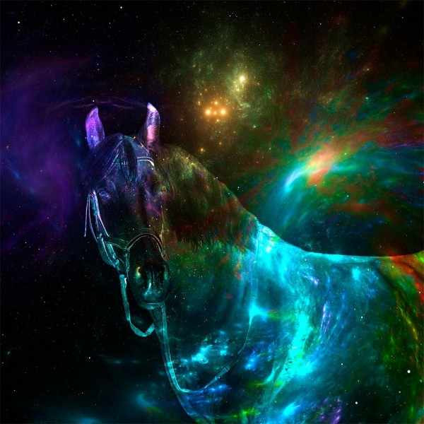 Cavallo 5d Diy Kit Diamond Painting Pittura Di Diamante NO1976