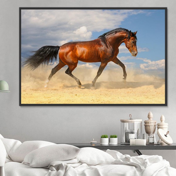 Cavallo 5d Diy Kit Diamond Painting Pittura Di Diamante NO1977