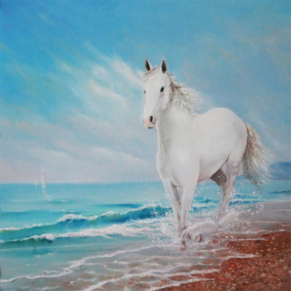 Cavallo 5d Diy Kit Diamond Painting Pittura Di Diamante NO1974