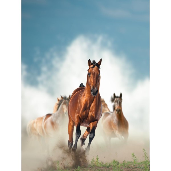 Cavallo 5d Diy Kit Diamond Painting Pittura Di Diamante NO1965