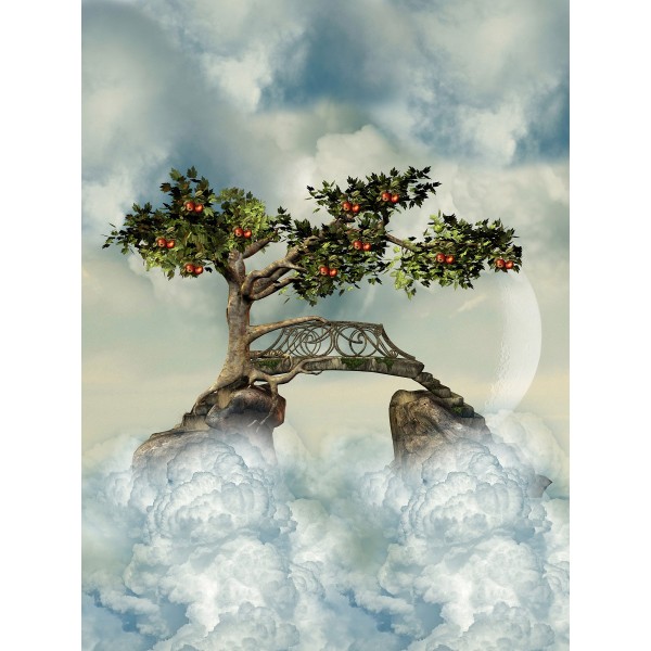 Paese Delle Fate 5d Diy Kit Diamond Painting Pittura Di Diamante NO1928