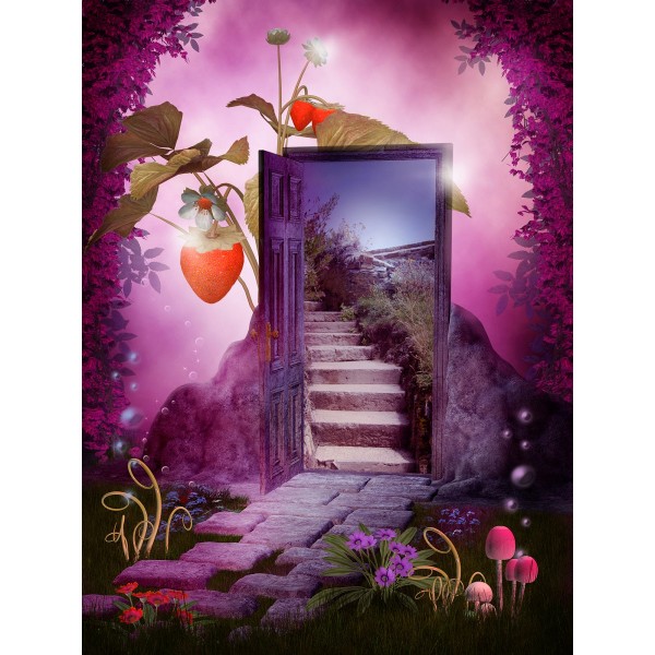 Paese Delle Fate 5d Diy Kit Diamond Painting Pittura Di Diamante NO1925