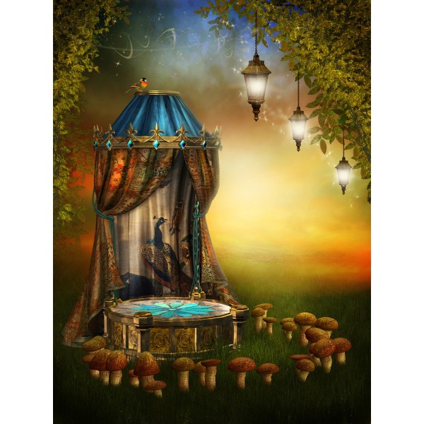 Paese Delle Fate 5d Diy Kit Diamond Painting Pittura Di Diamante NO1924