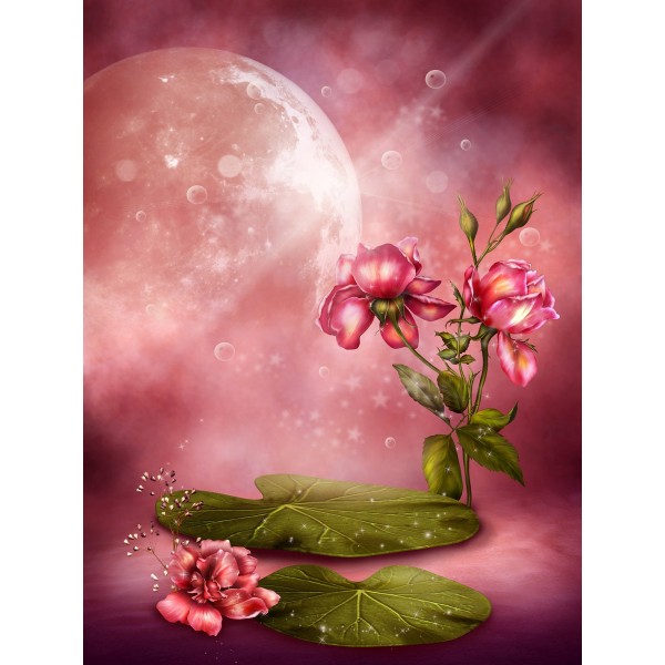 Paese Delle Fate 5d Diy Kit Diamond Painting Pittura Di Diamante NO1923