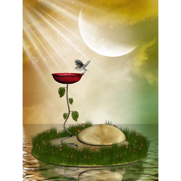 Paese Delle Fate 5d Diy Kit Diamond Painting Pittura Di Diamante NO1915