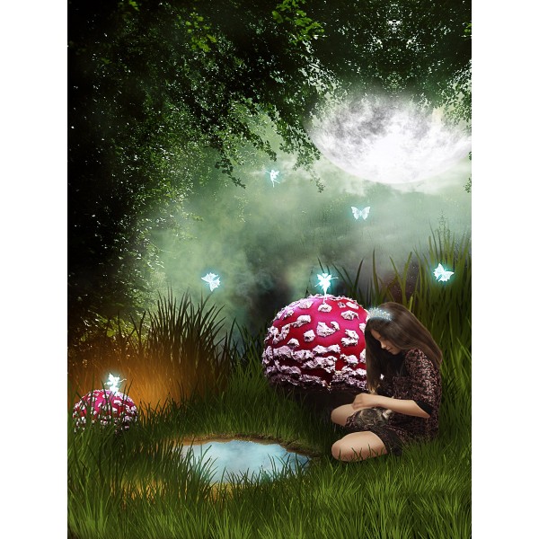 Paese Delle Fate 5d Diy Kit Diamond Painting Pittura Di Diamante NO1913