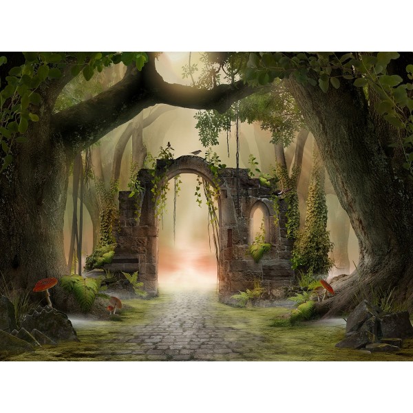 Paese Delle Fate 5d Diy Kit Diamond Painting Pittura Di Diamante NO1906