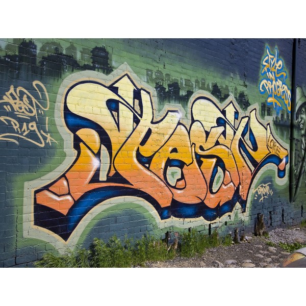 Moderno 5d Diy Kit Diamond Painting Pittura Di Diamante NO1824