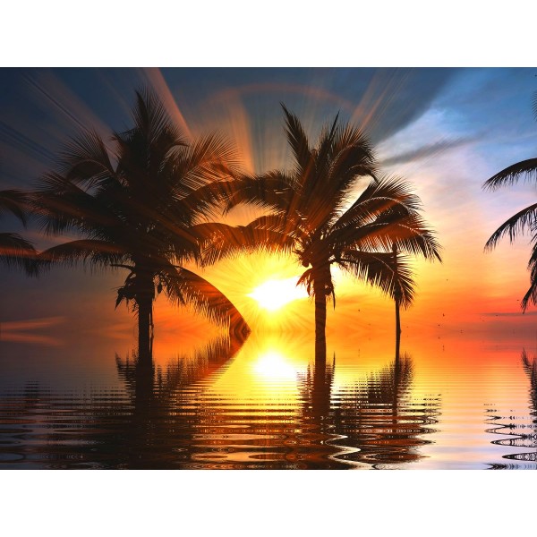 Albero 5d Diy Kit Diamond Painting Pittura Di Diamante NO1778