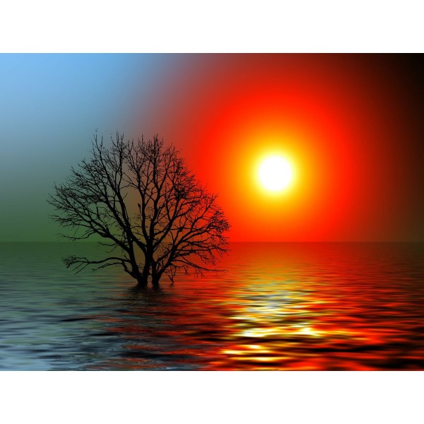 Albero 5d Diy Kit Diamond Painting Pittura Di Diamante NO1776